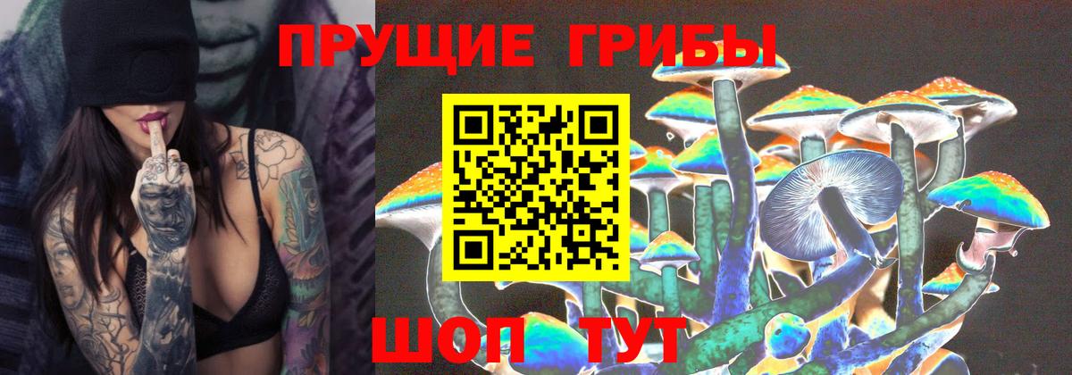 Галлюциногенные грибы GOLDEN TEACHER Архангельск